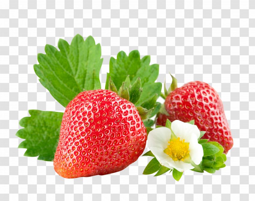 Strawberry Juice Powder Fruit - Dried - Fruit,Strawberry,Flowers,fresh Transparent PNG