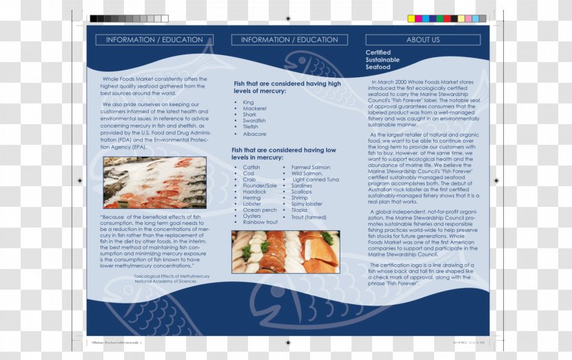 Brochure Font - Text - Media Transparent PNG