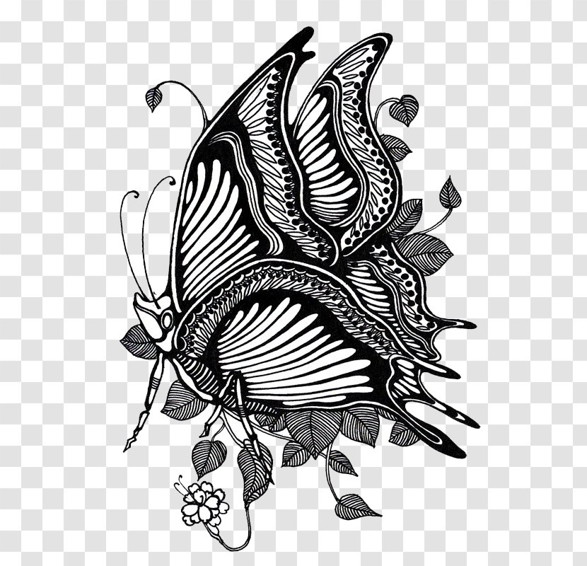 Butterfly Black And White Illustration - Monochrome Photography Transparent PNG
