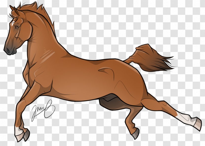 Foal Mane Pony Mustang Stallion - Sorrel Transparent PNG