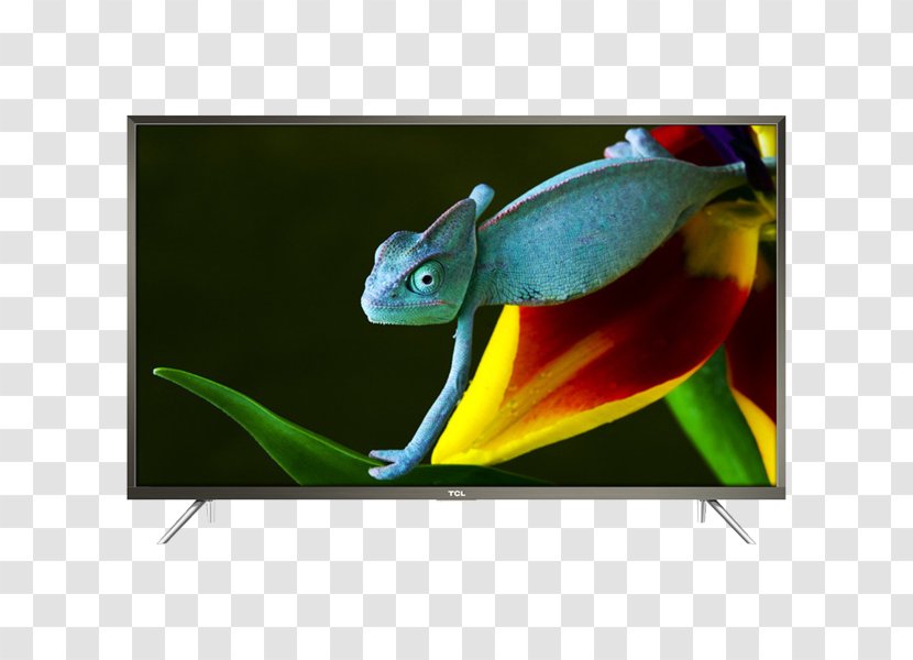 TCL P20US Ultra-high-definition Television LED-backlit LCD 4K Resolution Smart TV - Tcl Corporation - Camera Flyer Transparent PNG