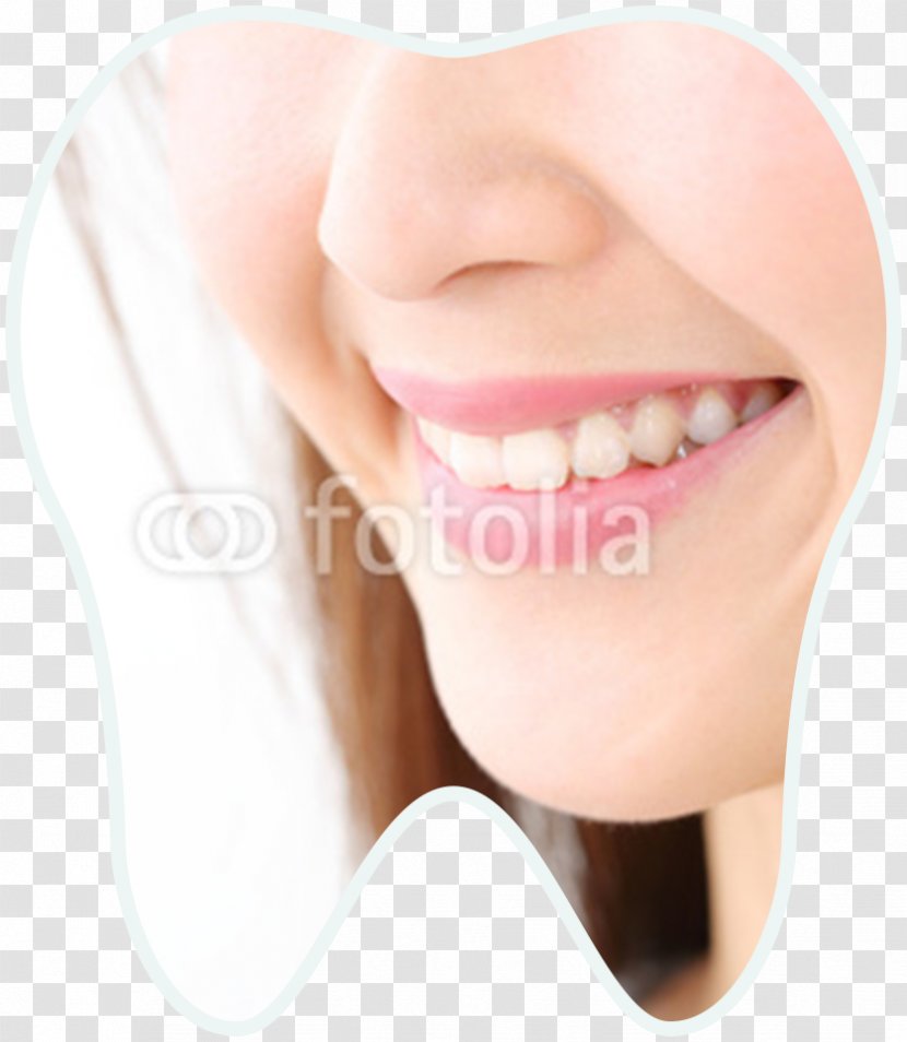 Smile Cheek Chin Jaw Mouth - Facial Expression Transparent PNG