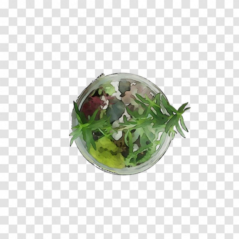 Herb - Dish Transparent PNG