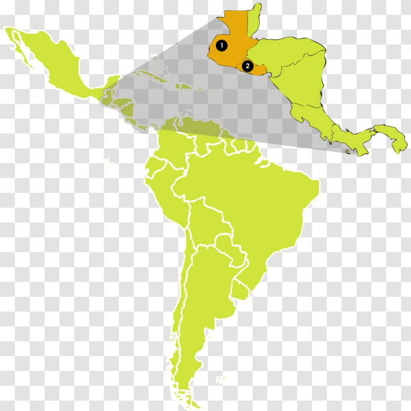 Uruguay United States Map Business Research - Tree Transparent PNG