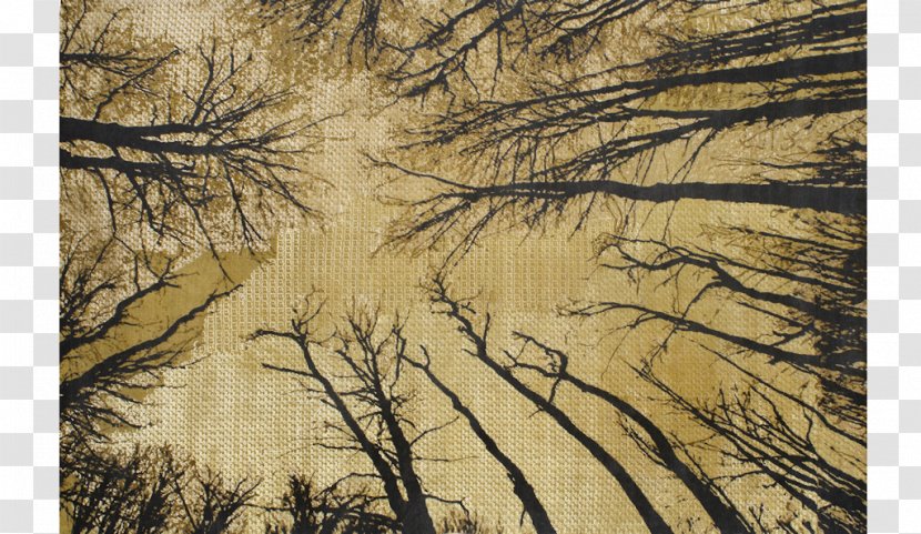 Painting Forest Ecosystem Wood /m/083vt - Ancient Wind Pattern Transparent PNG