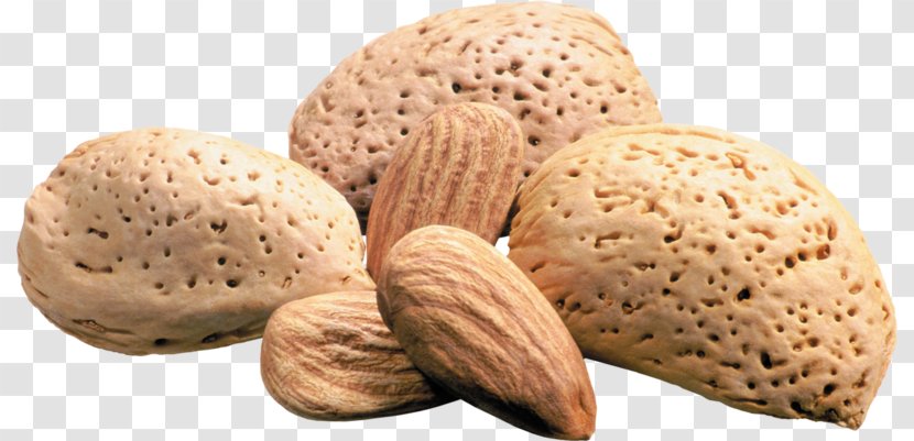 Almond Nut Wallpaper - Computer - Nuts Transparent PNG