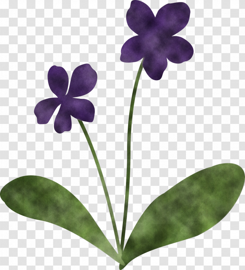 Violet Flower Transparent PNG