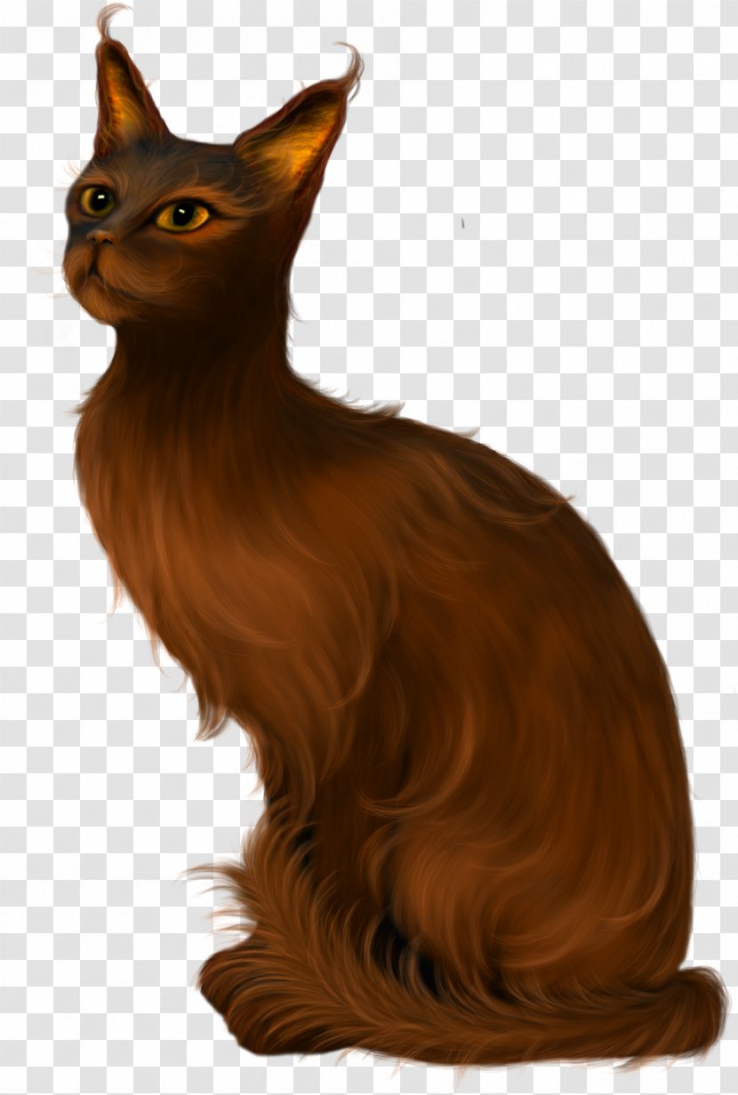 Balinese Cat Havana Brown Burmese Maine Coon Animal - Whiskers - Hand Painted Transparent PNG
