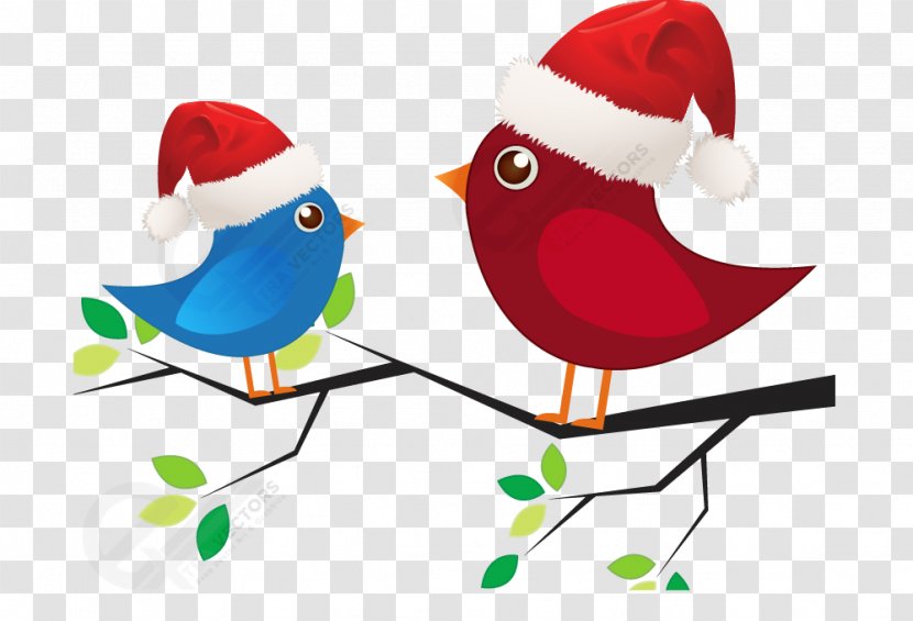 Santa Claus Reindeer Christmas Love Clip Art - New Year - Cartoon Vector Birds With Hats Transparent PNG