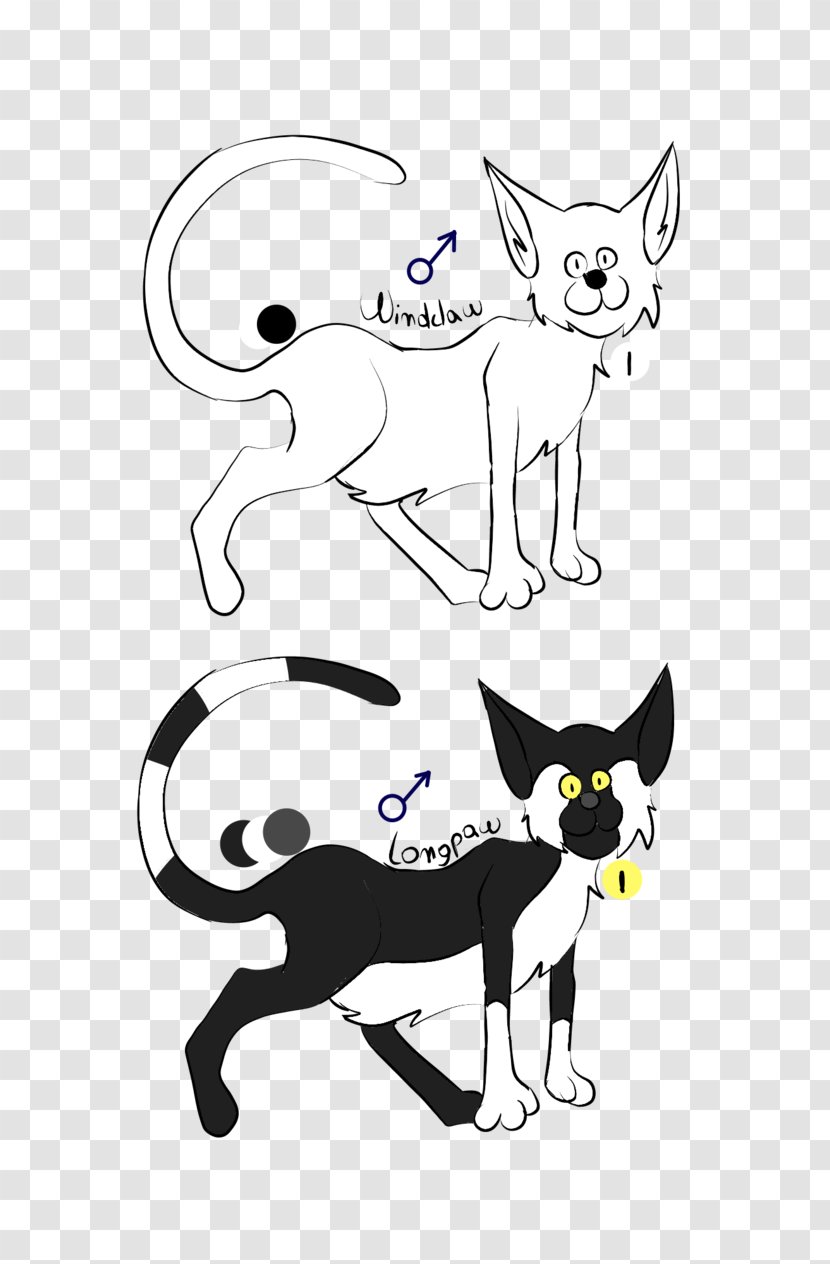 Whiskers Cat Drawing /m/02csf Clip Art - Vertebrate - The Characteristic Two Lover Shadow With Sunlite Transparent PNG