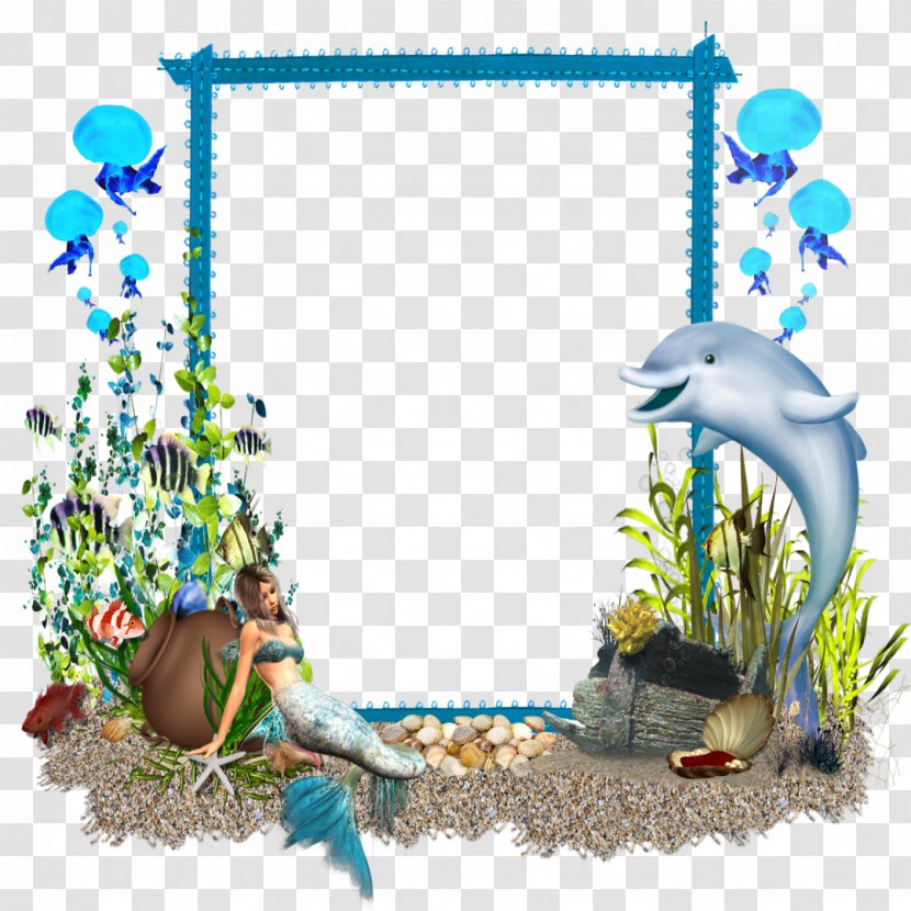 Picture Frames Photography - Frame - Dolphine Transparent PNG