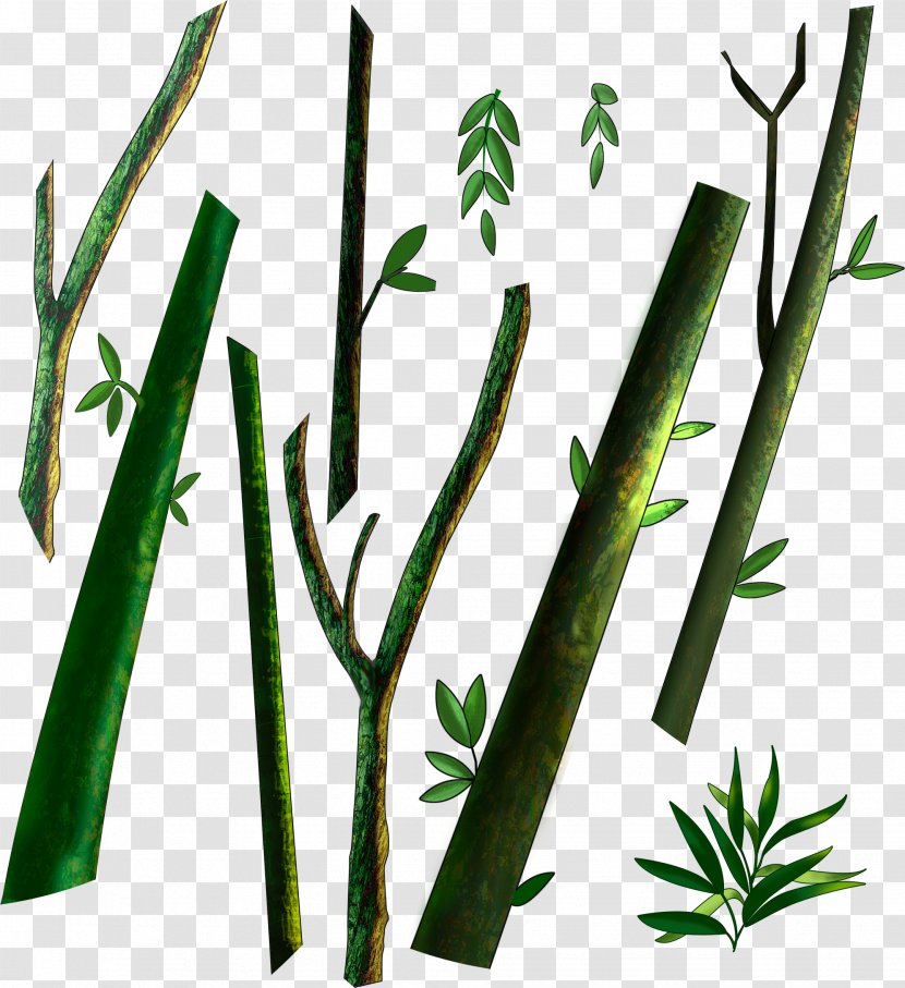 Plant Stem Leaf Branch Clip Art Transparent PNG