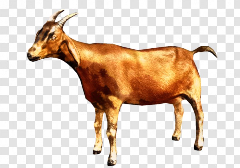 Goat Simulator Transparency Clip Art - Goats - Bovine Transparent PNG