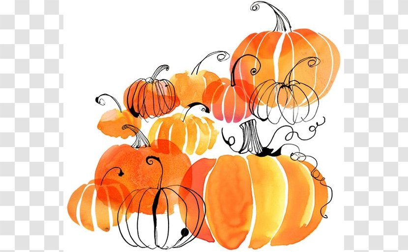 Pumpkin Pie Watercolor Painting New Hampshire Festival Autumn - Winter Squash Transparent PNG