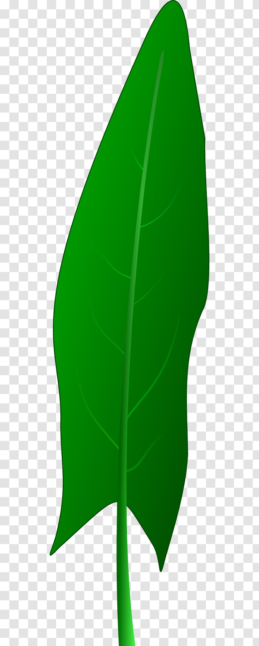 Leaf Plant Stem - Spinach Transparent PNG