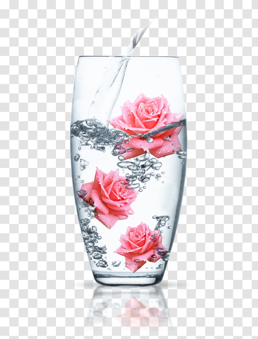 Garden Roses Rose Water Oil Damask - Drinking Transparent PNG