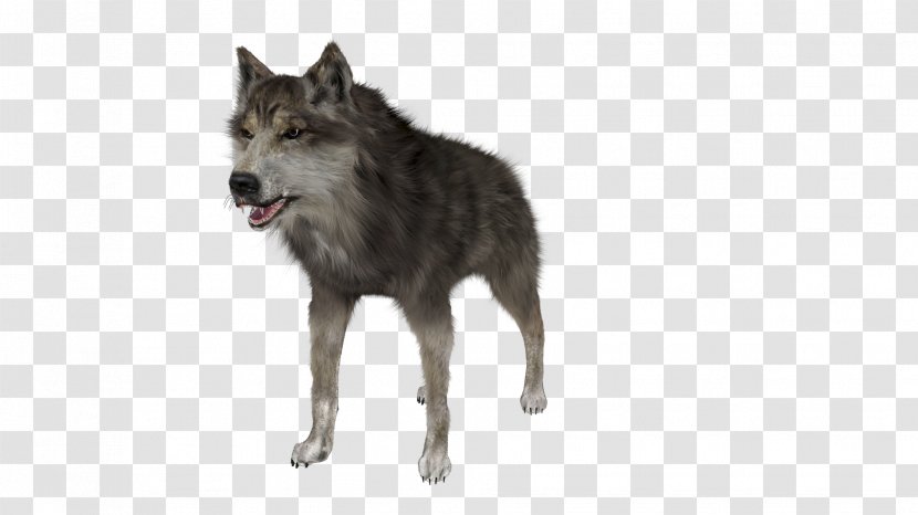 Saarloos Wolfdog German Shepherd Rendering - Tamaskan Dog - Wolf Transparent PNG