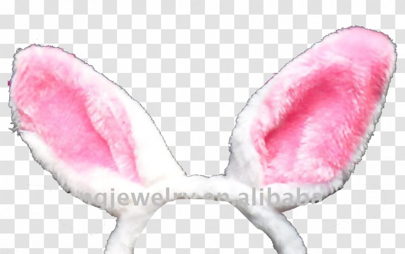 Rabbit Ear - Petal - Bunny Transparent PNG
