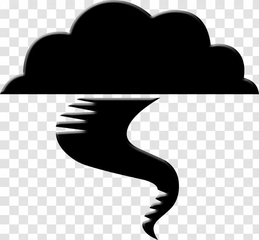 Tornado Alley 2011 Joplin Clip Art - Cartoon Transparent PNG