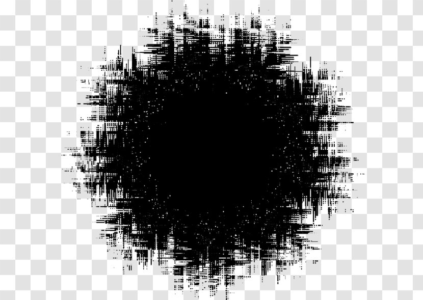 Black And White Computer Software Photography - Tree Transparent PNG