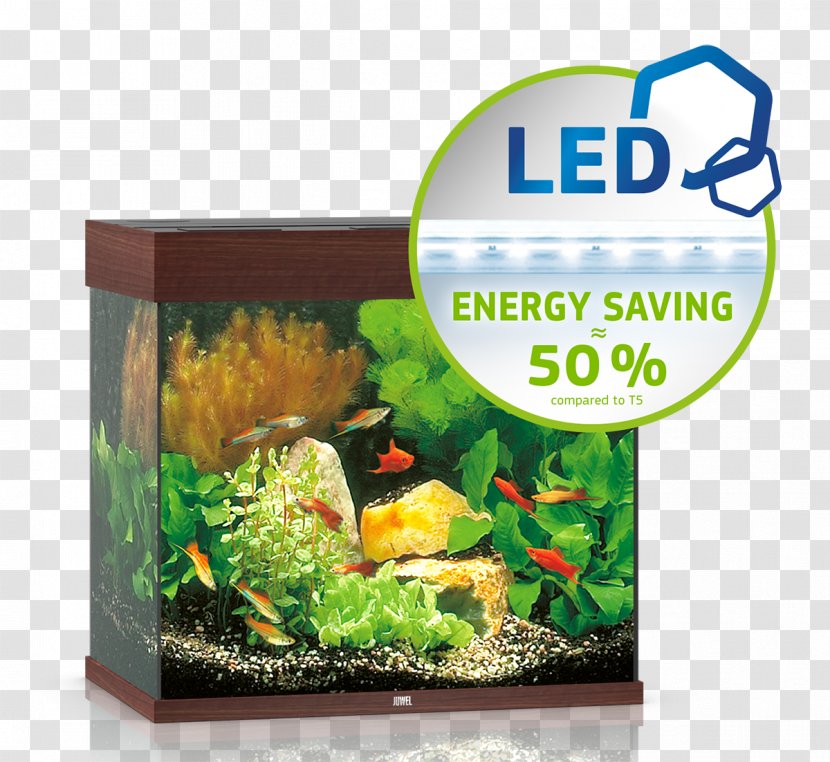 Aquarium Filters Juwel Lido 120 Cabinet Tropical Fish Light - Rio 180 Led Transparent PNG
