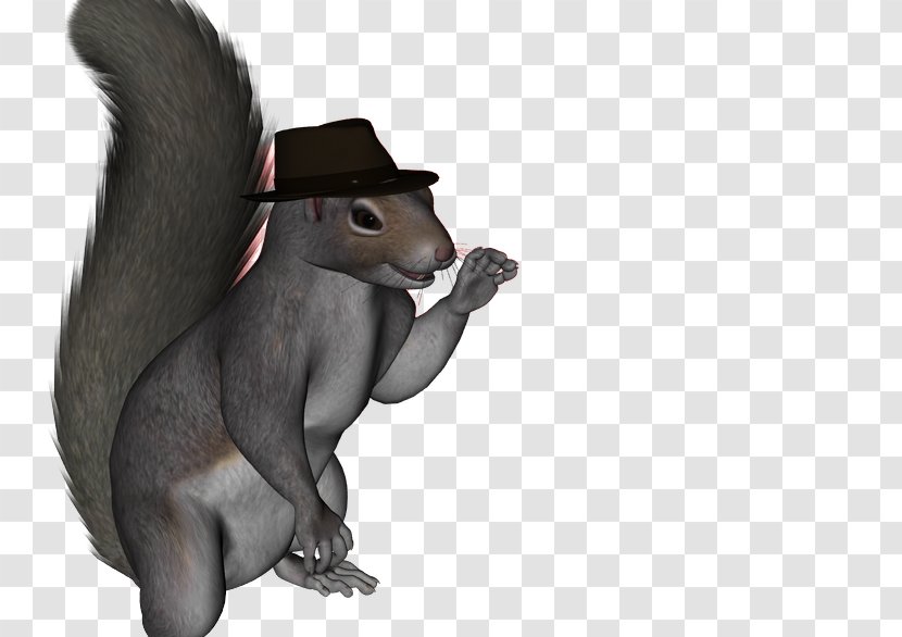 Rodent Squirrel Mammal Animal Marsupial - Snout - First April Poster Transparent PNG