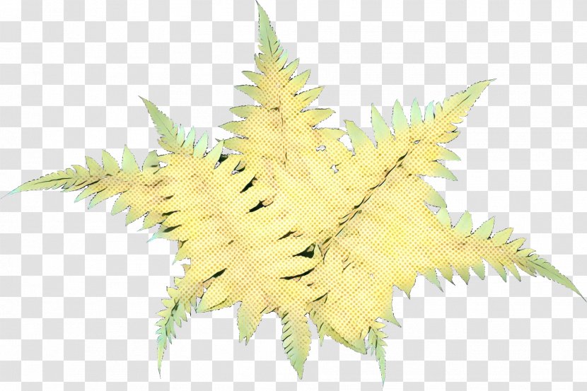 Leaf Tree - Yellow - Plant Transparent PNG
