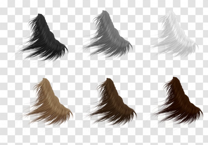 American Paint Horse Mane Tail Feather - Fur Transparent PNG
