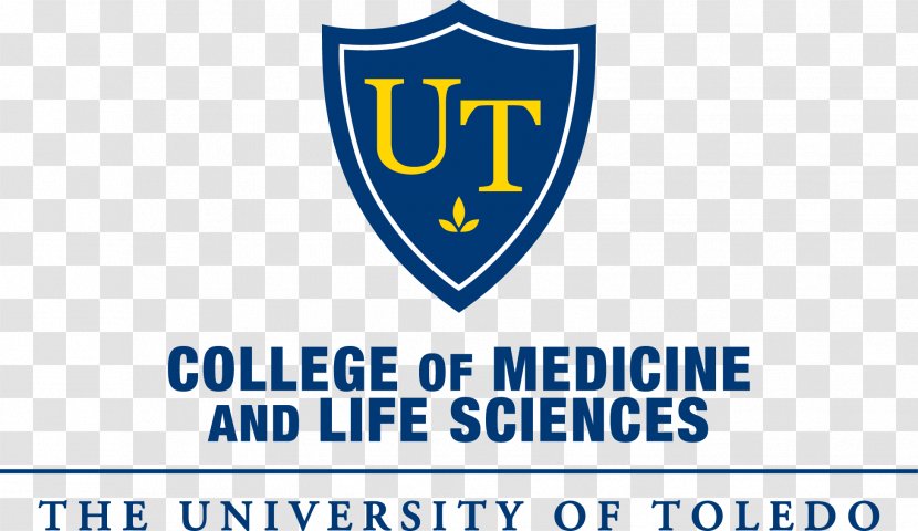University Of Toledo College Medicine And Life Sciences Al-Zaytoonah Jordan - Alzaytoonah - Student Transparent PNG