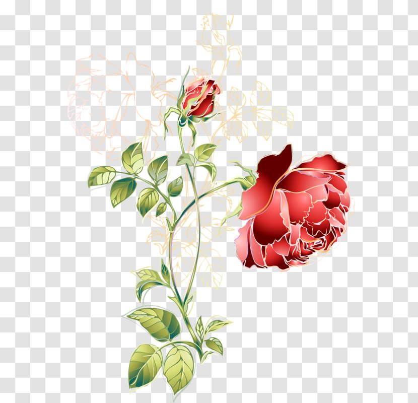 Flower Red Green Color - Flora - Hand-painted Rose Transparent PNG