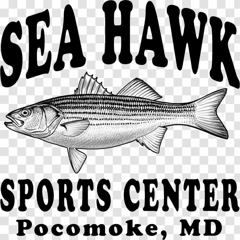 Sea Hawk Sports Center Pocomoke City 09777 Salmon Fish Products - Shore Transparent PNG
