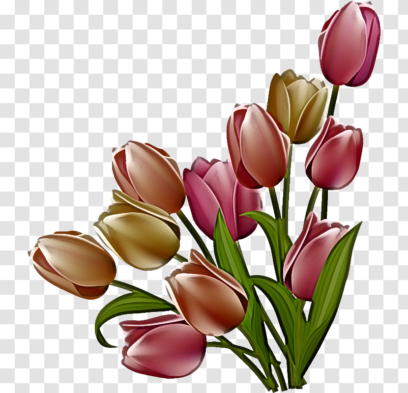 Artificial Flower Transparent PNG