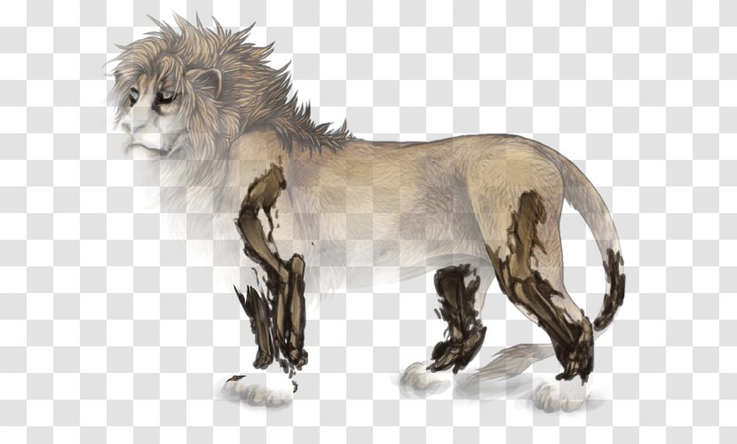 Lion Big Cat Manticore Personality - Mammal Transparent PNG