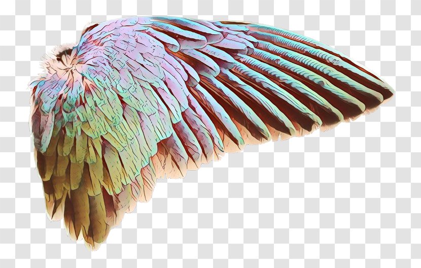 Beak Feather - Wool - Headgear Transparent PNG