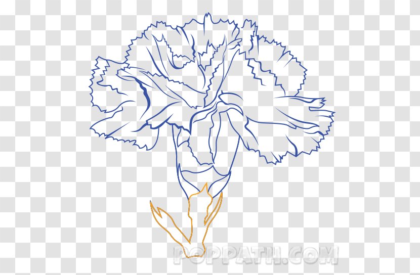 Floral Design Drawing Art Cut Flowers - Frame - Carnation Flower Transparent PNG