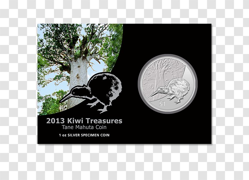 Coin New Zealand Silver Cent Klub Numizmat Transparent PNG