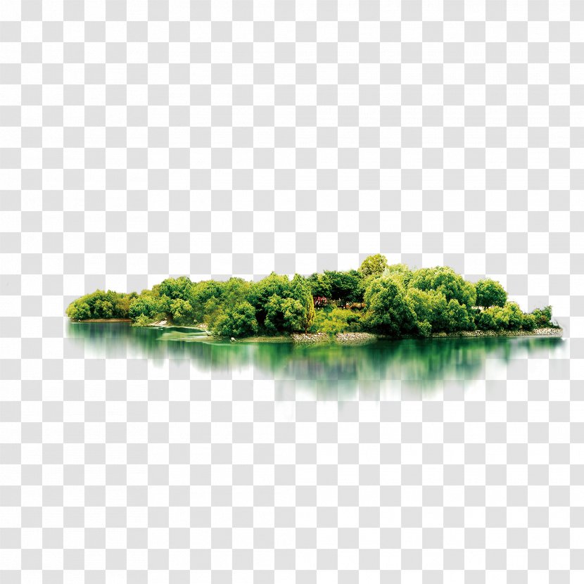Download Computer File - Plant - Forest Lake Transparent PNG