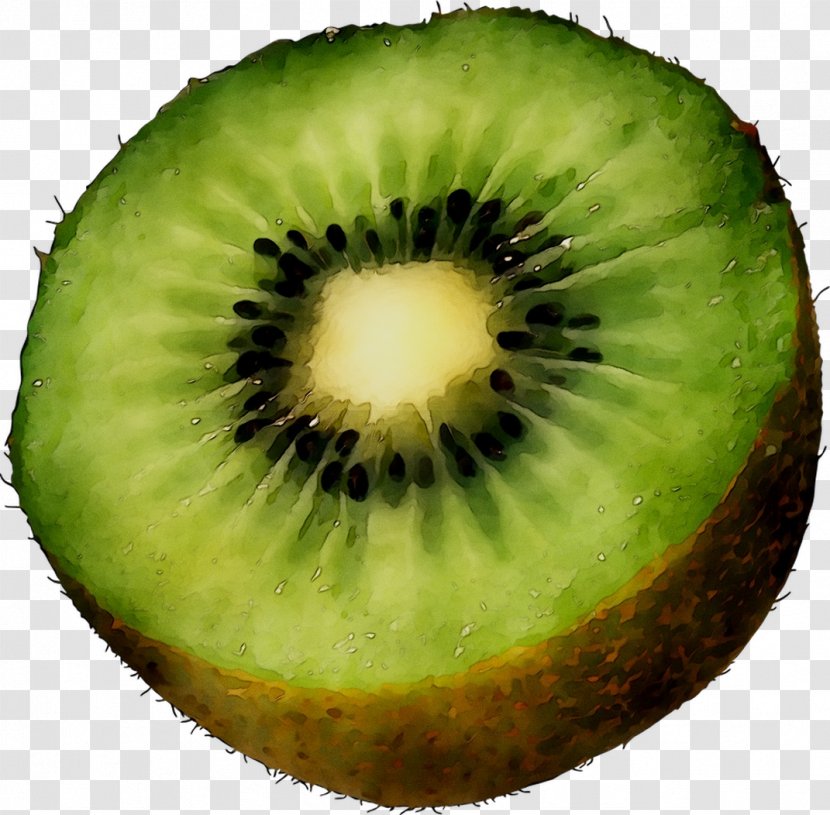 Kiwifruit - Food - Green Transparent PNG