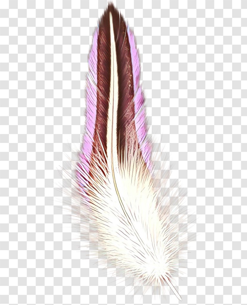 Pink Background - Violet - Wing Tail Transparent PNG
