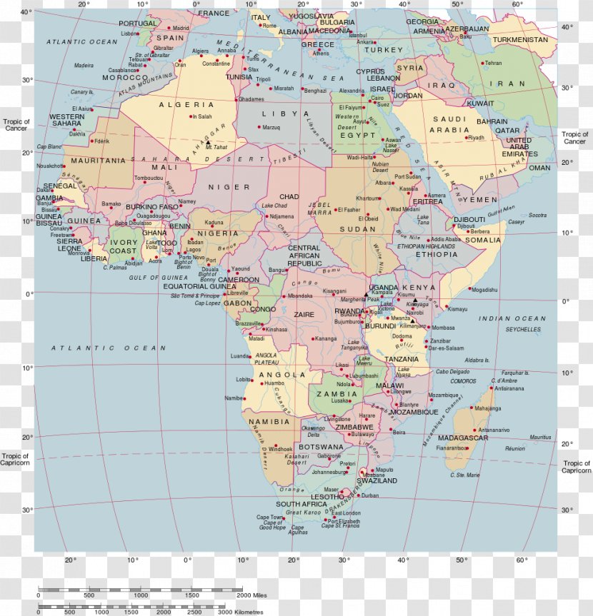 Africa World Map Mapa Polityczna - Ecoregion - Of Transparent PNG
