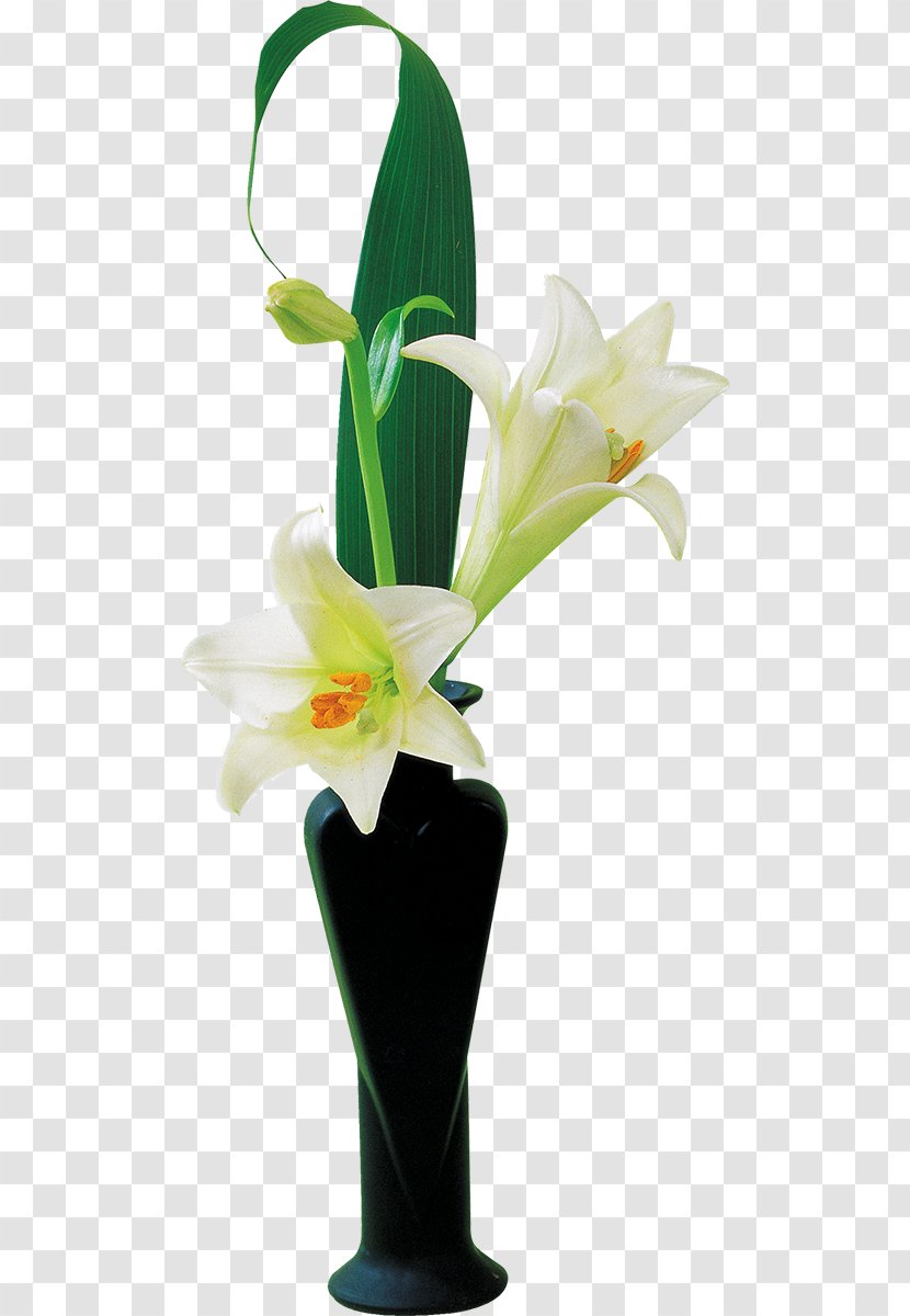 Lilium Floral Design Cut Flowers - Flower Transparent PNG