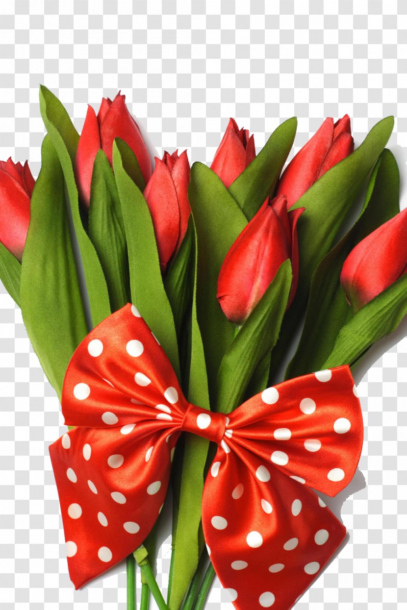 Indira Gandhi Memorial Tulip Garden Flower Bouquet - Flowers Transparent PNG