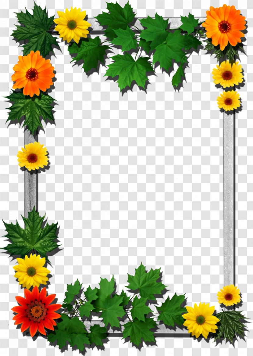 Picture Frames Flower Clip Art - Film Frame Transparent PNG