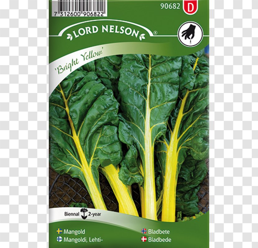 Seed Sowing Arugula Bedding Perennial Plant - Chard - Mangold Transparent PNG