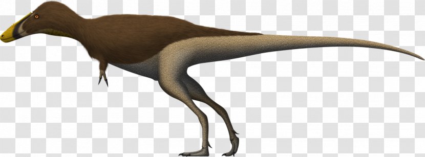 Alioramus Qianzhousaurus Tyrannosaurus Tarbosaurus Maastrichtian - Stephen L Brusatte - Dinosaur Transparent PNG
