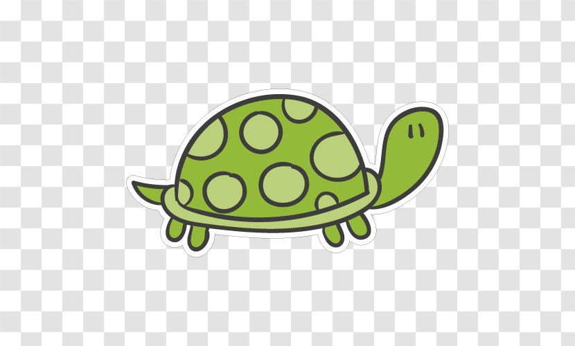 Turtle Tortoise Clip Art Transparent PNG