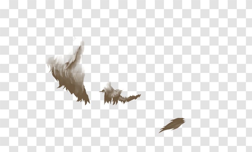 Lion Bald Eagle Skill Agility Wildlife Transparent PNG