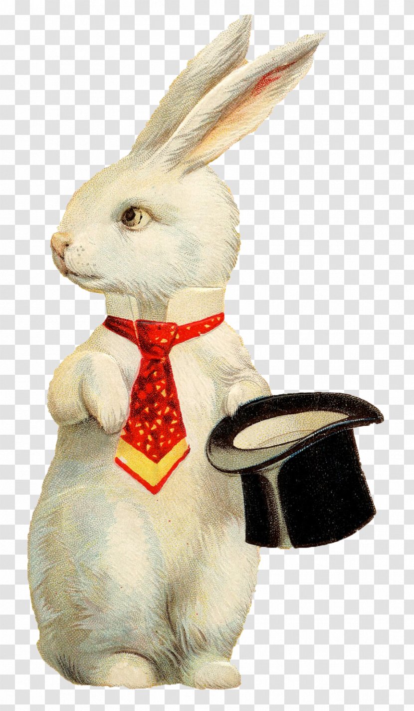 White Rabbit Easter Bunny European Top Hat - Hare Transparent PNG