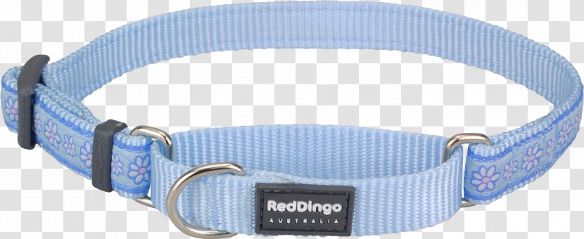 Dog Collar Dingo Martingale - Pet - Blue Transparent PNG