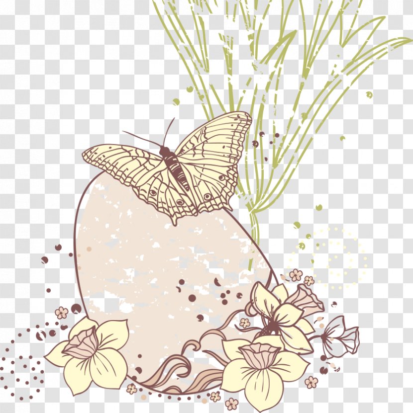 Nymphalidae Butterfly Egg - Pollinator - Vector On Transparent PNG